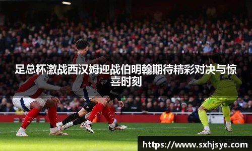 hth华体会官网首页